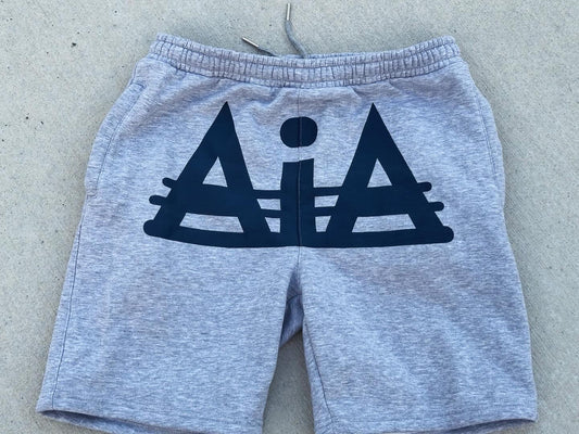 GRAY/NAVY logo shorts